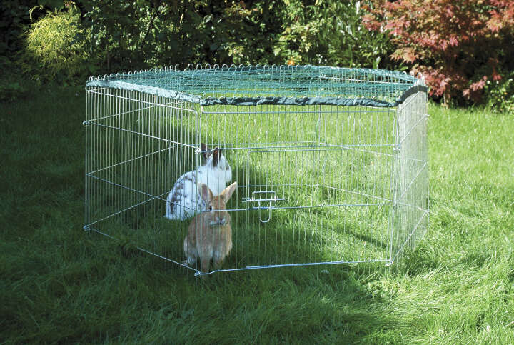 dobar Freilaufgehege